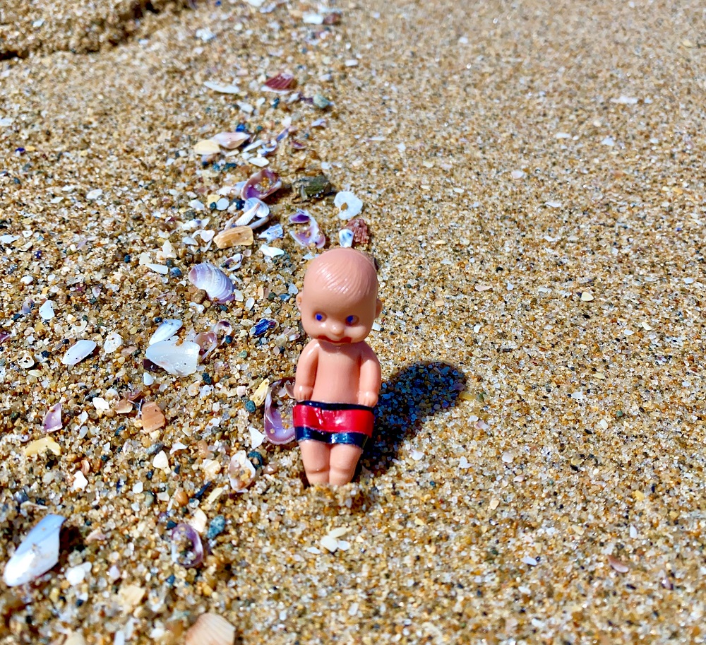 Brutus Baby and the Seashells 17